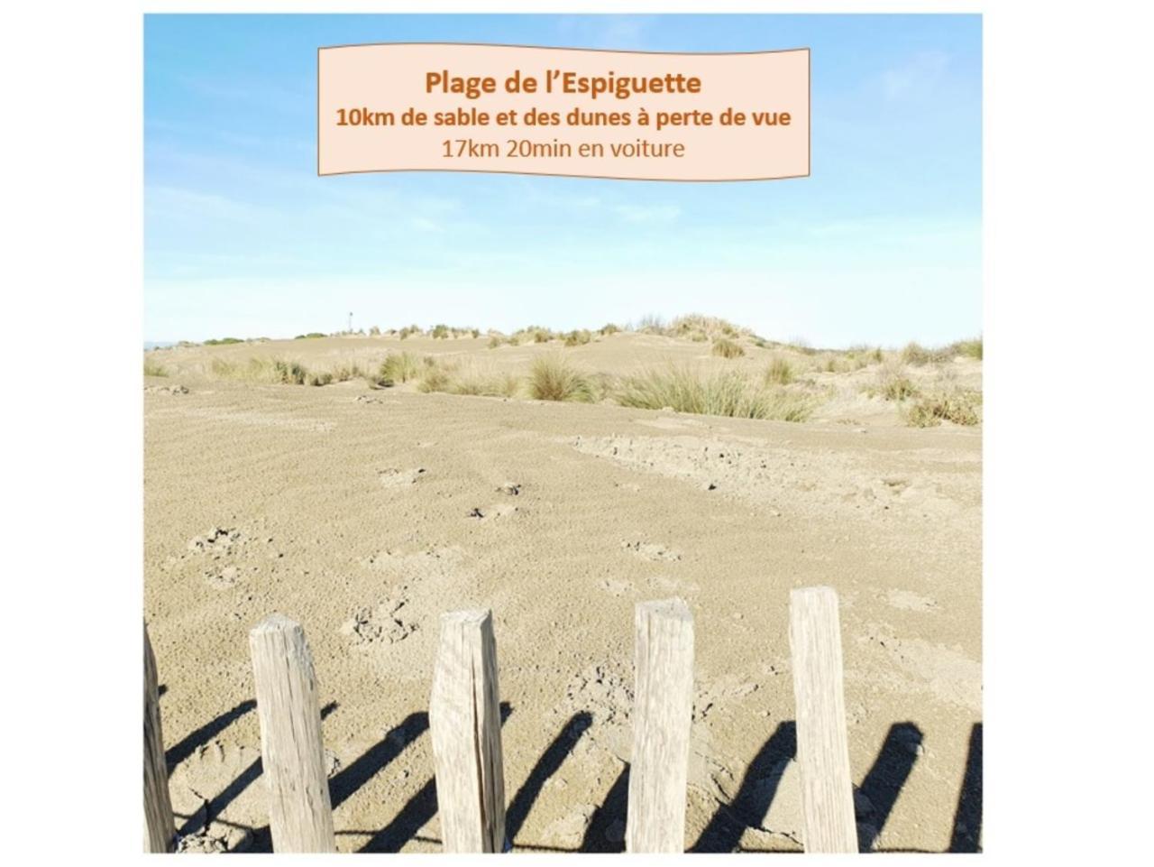 Suite Thalassa 1Ere Ligne Plages Du Couchant Wifi - Rossiconciergerie - Linge Inclus La Grande-Motte Exterior foto