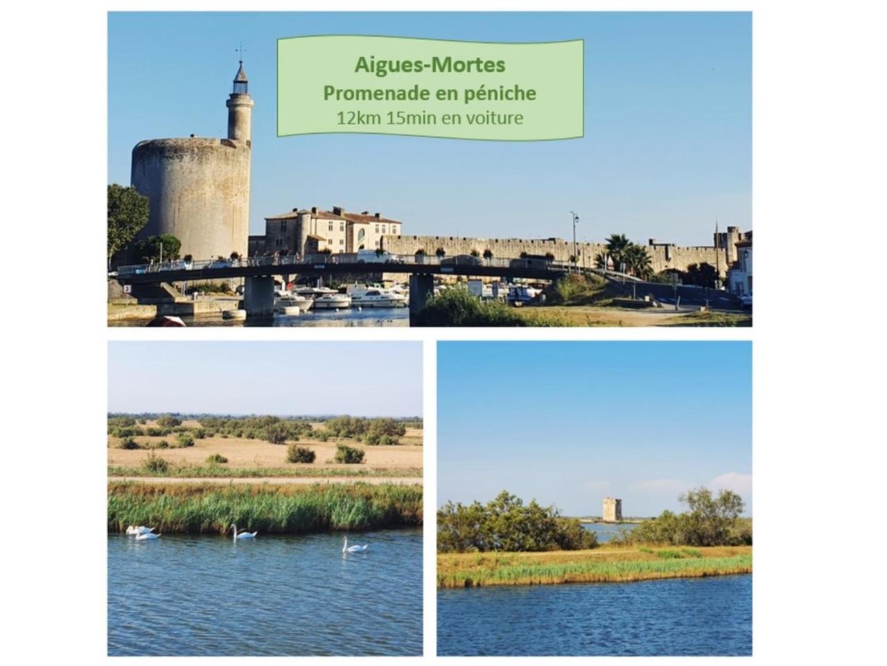 Suite Thalassa 1Ere Ligne Plages Du Couchant Wifi - Rossiconciergerie - Linge Inclus La Grande-Motte Exterior foto